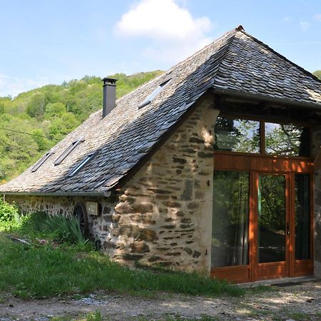 Gite Le Couderc De Coubisou, Grange Renovee Dış mekan fotoğraf